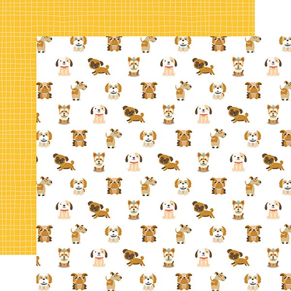 Pets: Puppy Pals DS Paper