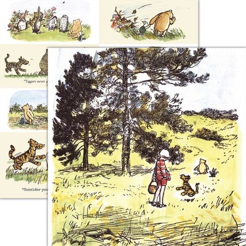 Winnie the Pooh and Friends: A Walk in the Forest DS Paper